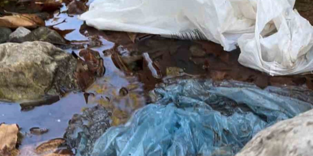 "geyikbayırı’nı Keşfedin Ama Kirletmeyin" Tepkisi