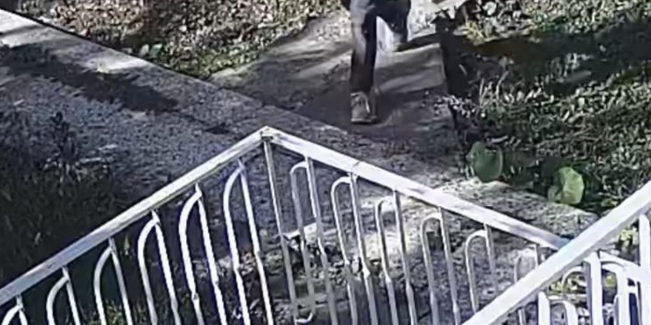 Bağ Faresi Polisten Kaçamadı