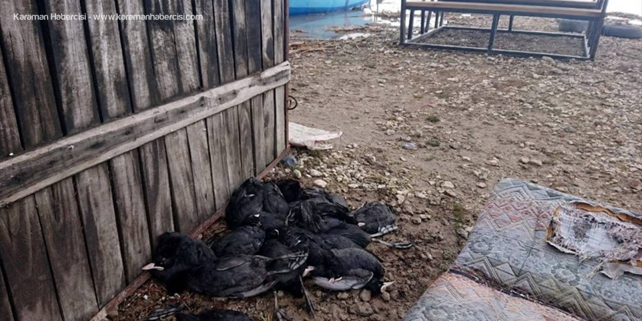 Konya'da Suçüstü Yakalanan Kaçak Avcılara 22 Bin Lira Ceza Kesildi