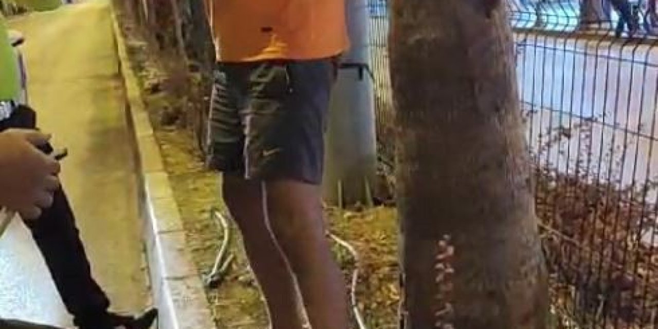 Trafik Polislerinin Dur İhtarına Uymayan Alkollü Sürücü: “ben Atatürk’ün Askeri, Cumhuriyetin Neferiyim”