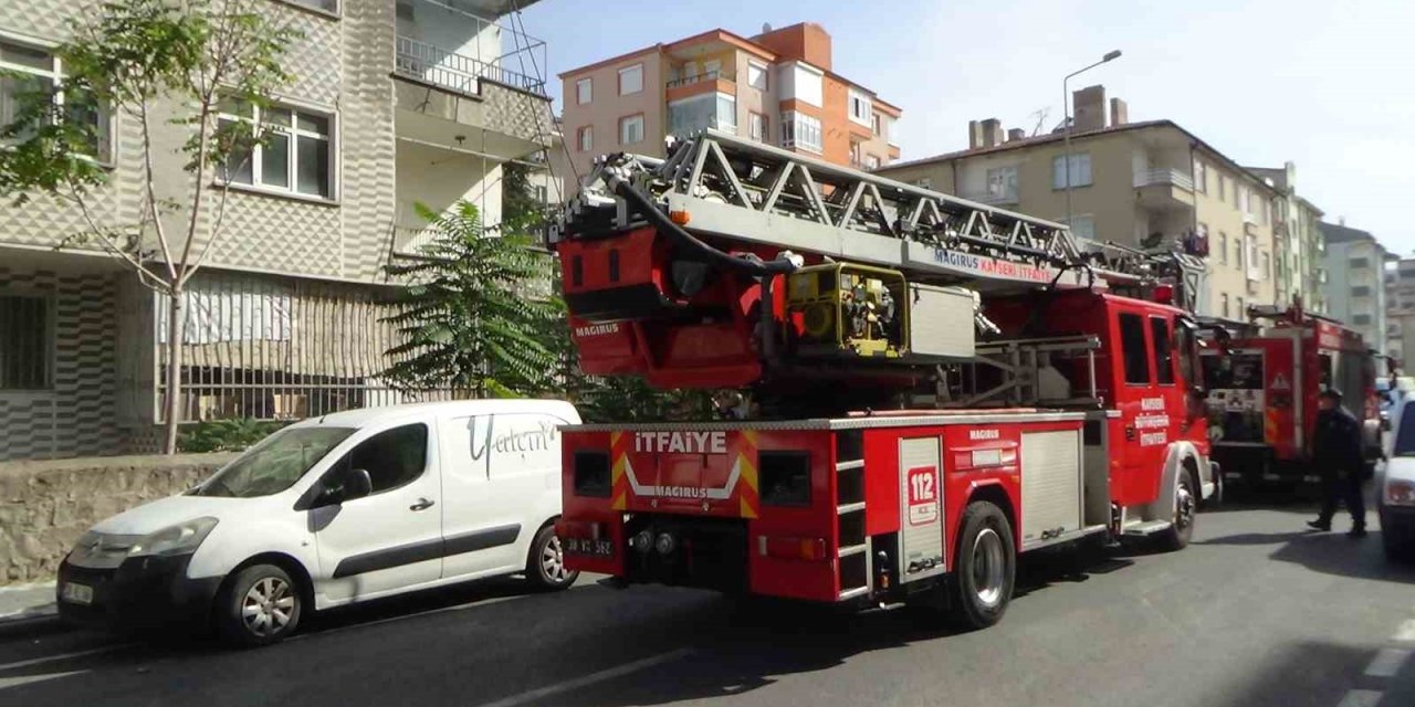 Yangında Onlarca Güvercin Telef Oldu