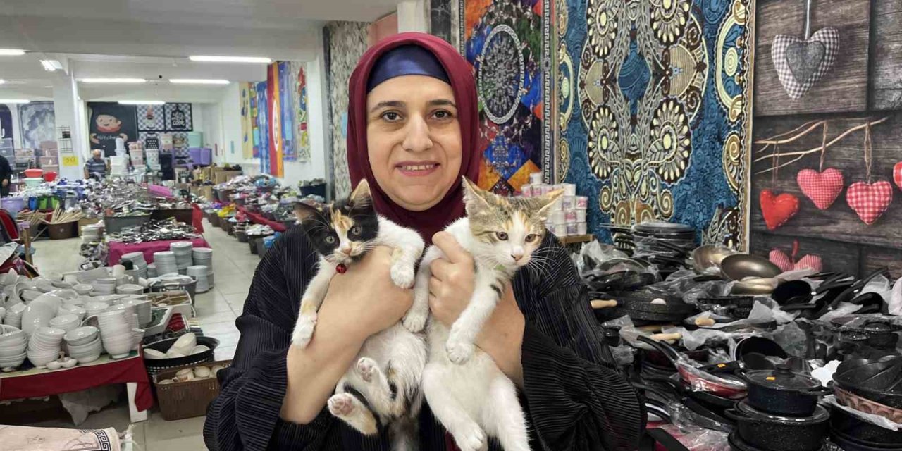 50 Yaşında Sosyal Medya İle Hayvanlara Yardım Eli Uzatıyor