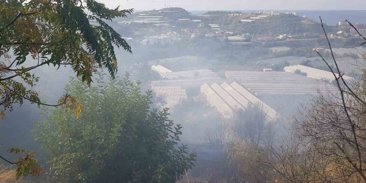 Yakılan Sera Atıkları Yangına Sebep Oldu