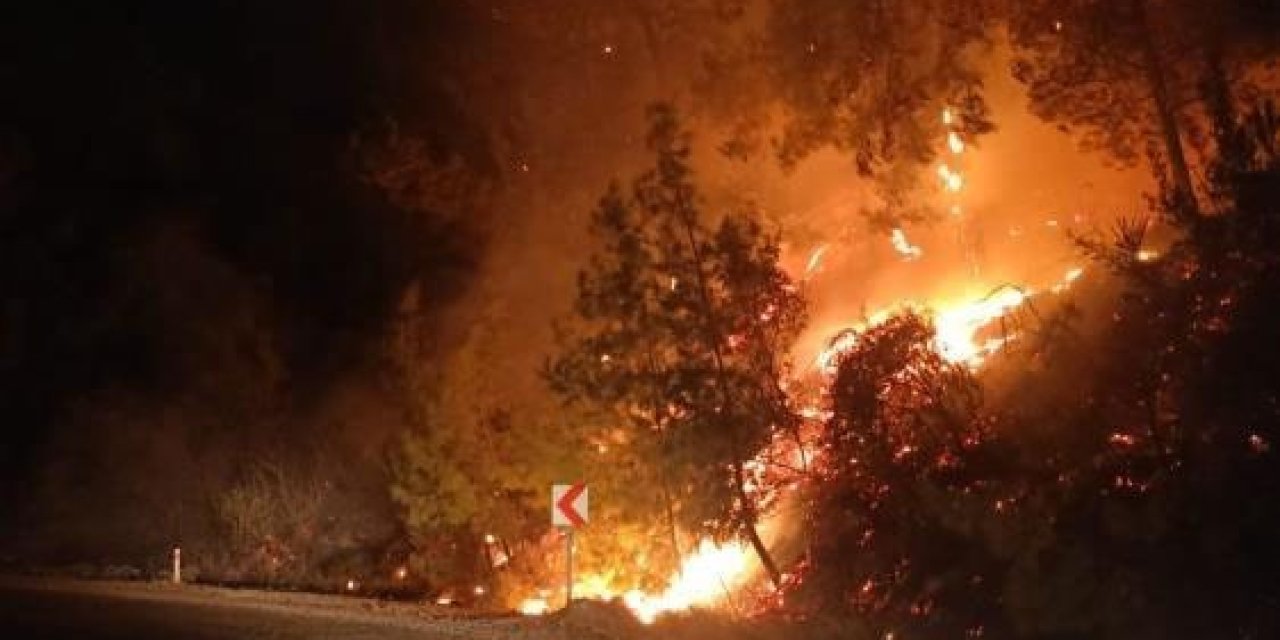 Taşağıl-beşkonak Yolunda Orman Yangını Büyümeden Söndürüldü