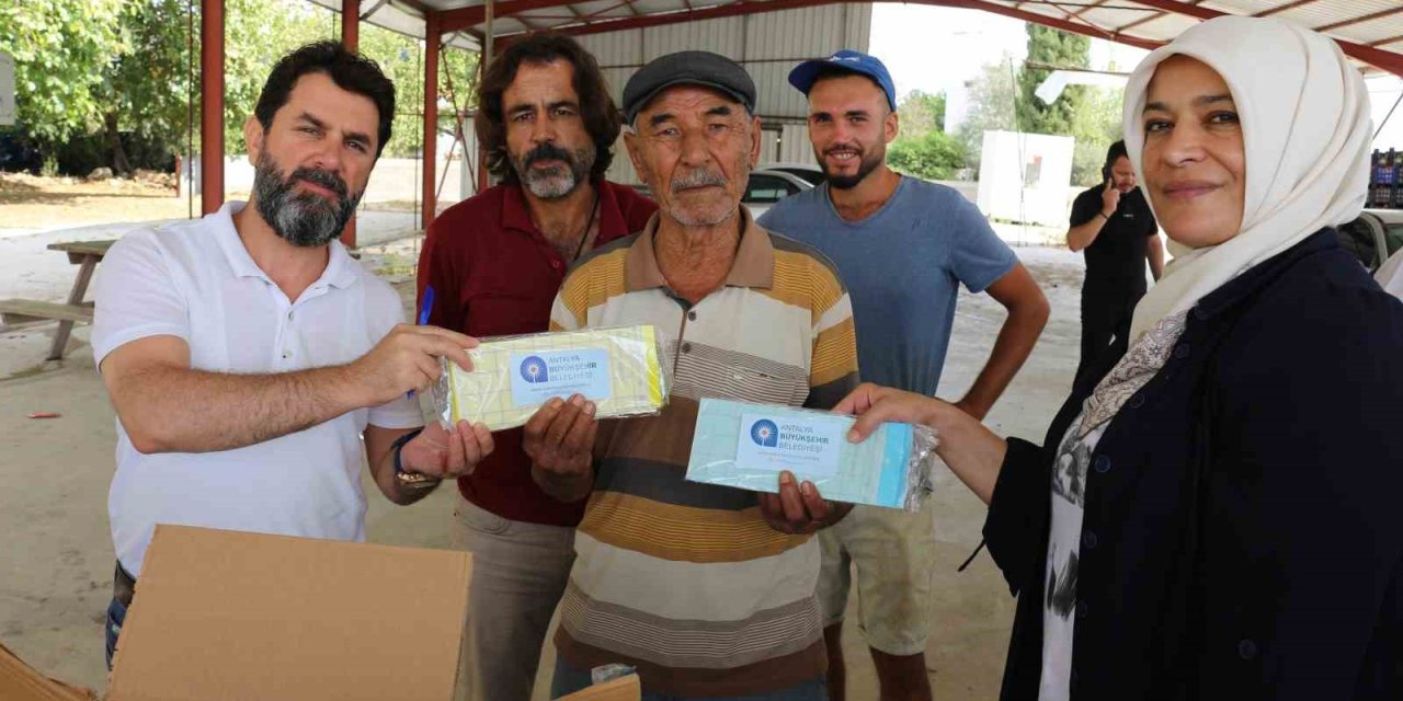 Büyükşehir, Serik’te 18 Bin Adet Yapışkan Tuzak Dağıttı