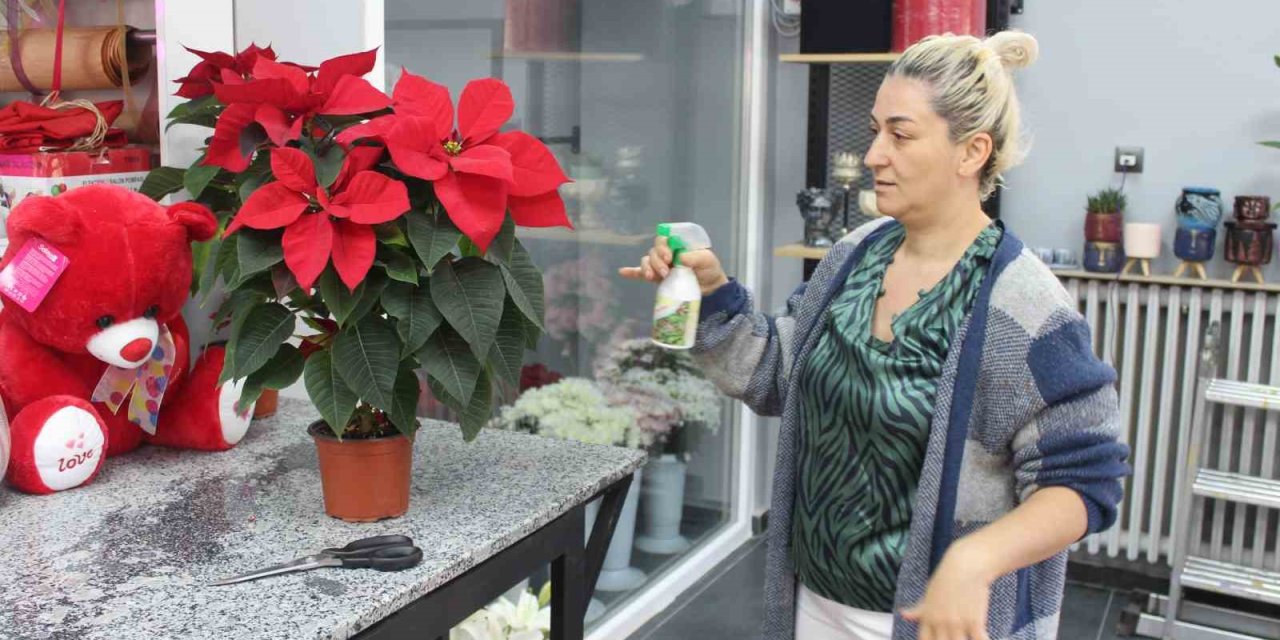 Özel Gün Yaklaşırken En Çok Bu Çiçek Satılıyor