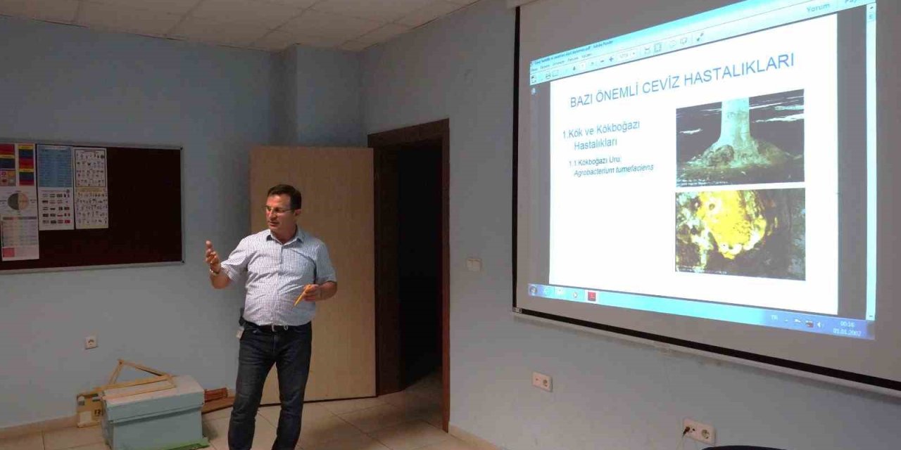 Melikgazi, İlçede Kaliteli Ceviz Yetiştiriciliği İçin Eğitim Veriyor