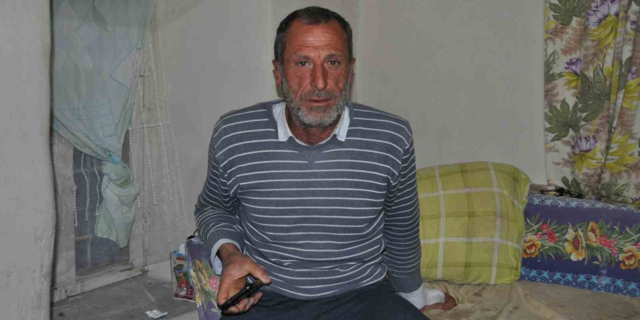 Ayı Saldırısından Şans Eseri Yaralı Kurtuldu