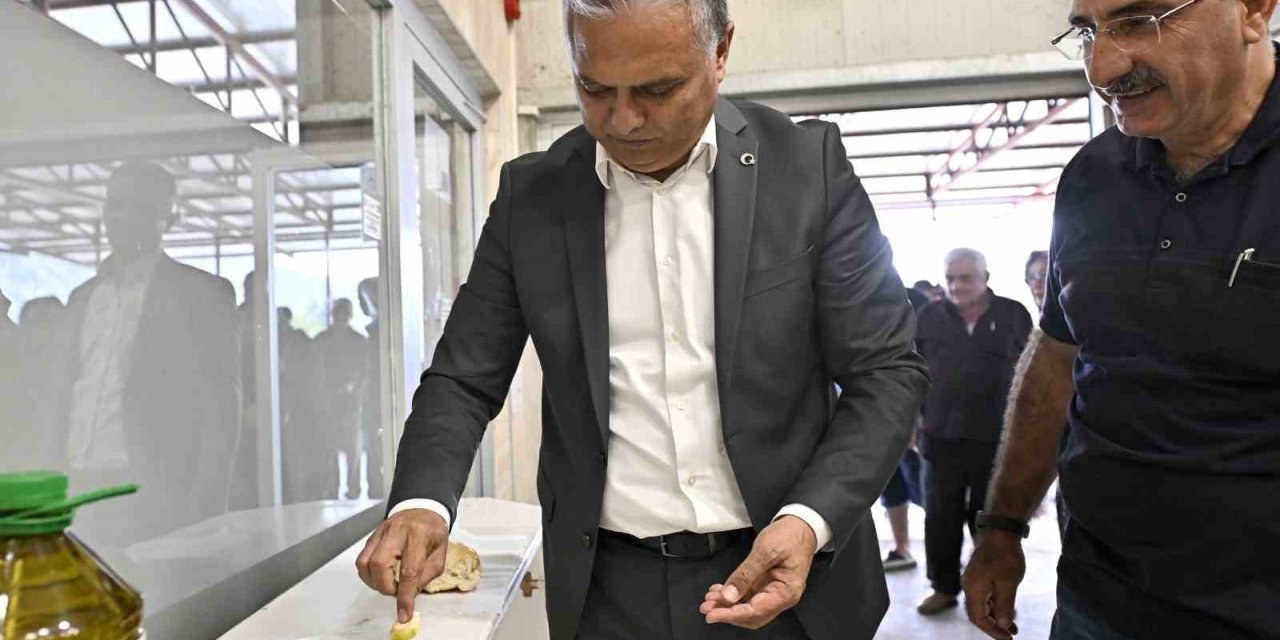 Uysal, ‘zeytin Rekoltemizi Arttırmamız Lazım’