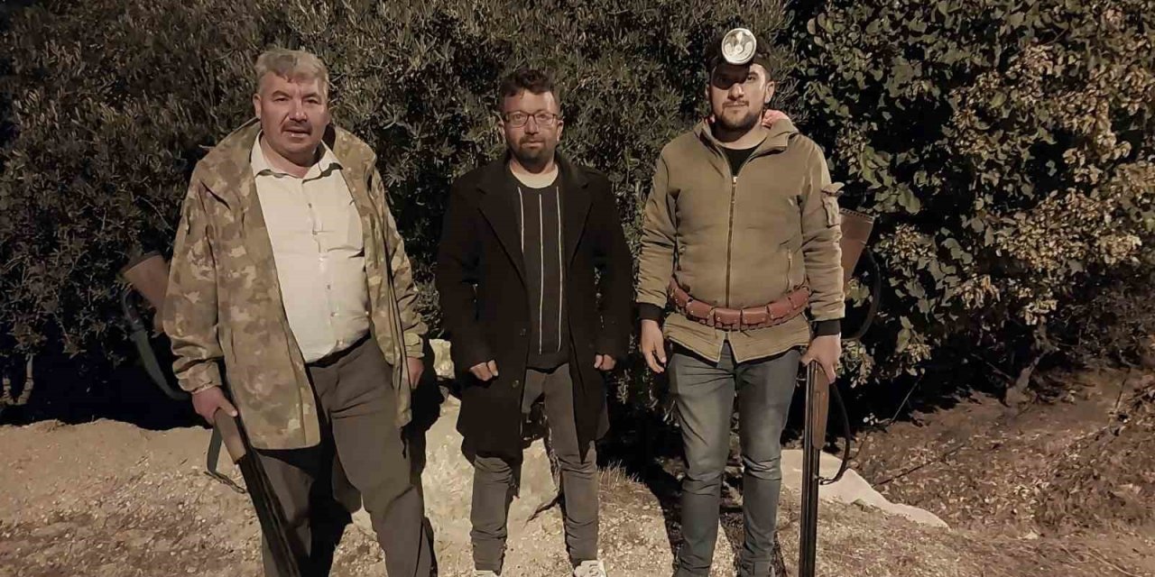 Mersin’de Zeytin Hırsızlığı Çoğaldı, Üreticiler Akşamları Bahçelerde Nöbet Tutuyor