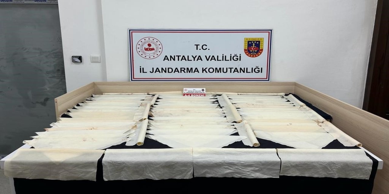 Antalya’da 1 Milyon Kullanımlık Bonzai Ele Geçirildi