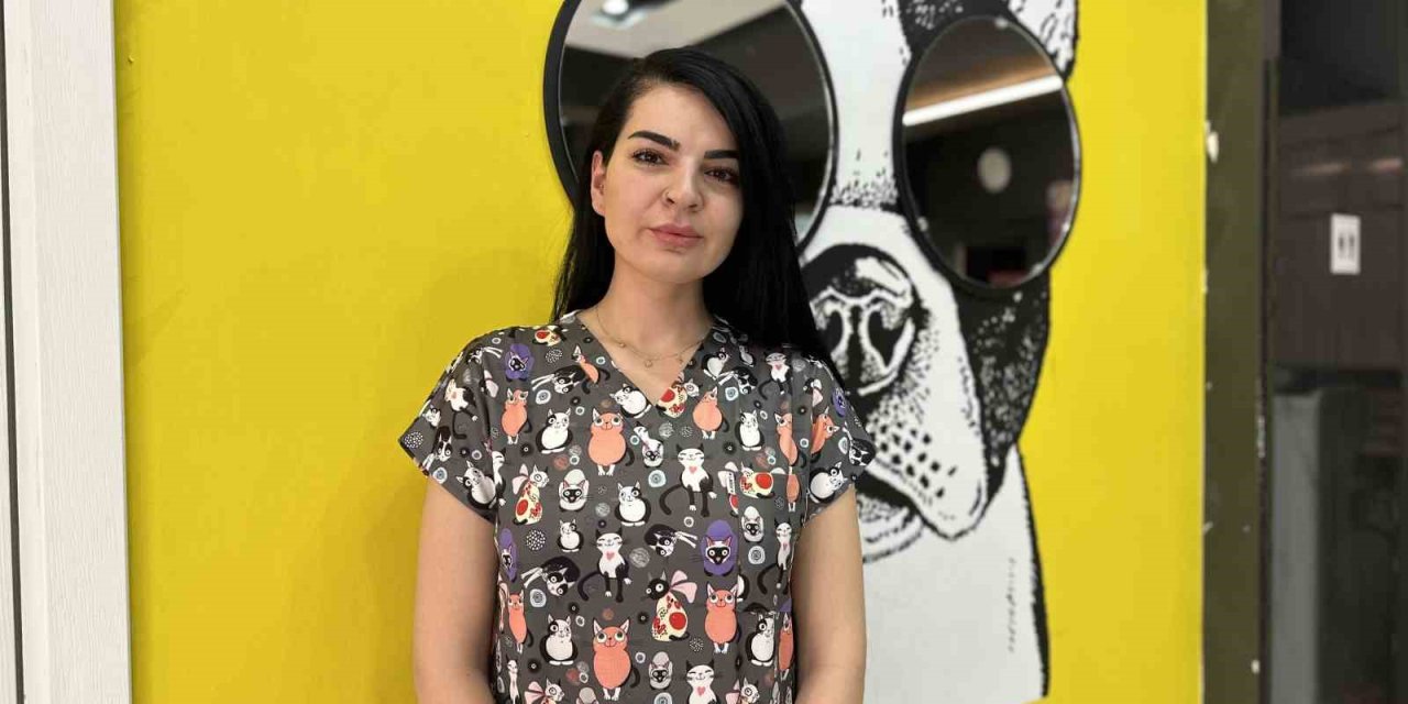 Hayvanlara Yardım Etmek İsterken Dikkat Edin