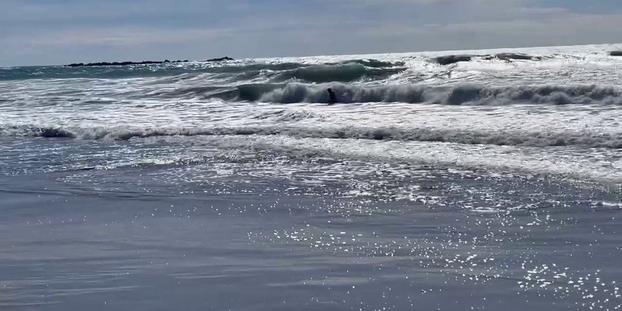 Boğulma Tehlikesi Geçiren Adamı Baş Aşağı Kaldırıp Suyu Çıkarmaya Çalıştılar