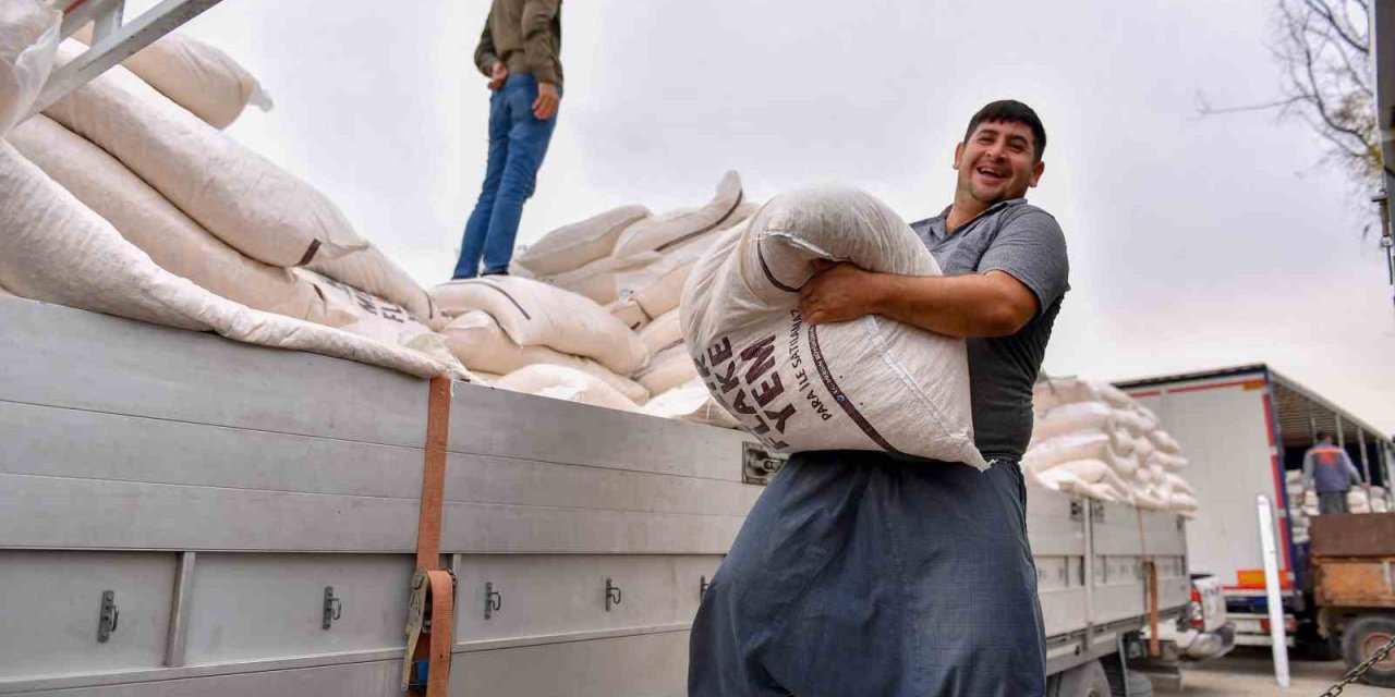 Mersin’de Büyükbaş Hayvancılıkla Uğraşan Çiftçilere ’mısır Flake’ Yem Desteği