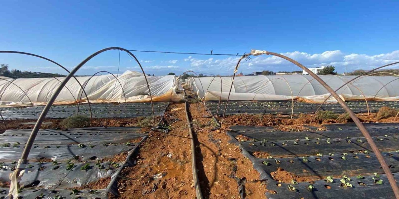 Antalya’da Fırtına Seralara Da Zarar Verdi