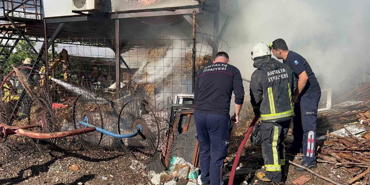 Antalya’da Saman Balyası Yangını