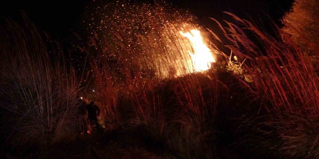 Manavgat’ta Sazlık Alanda Yangın