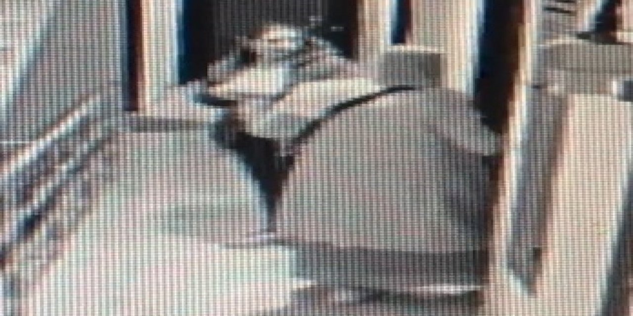 Hırsızlık Amacıyla Apartmana Giren Kadınlar, Daire Kapılarını Teker Teker Kontrol Etti