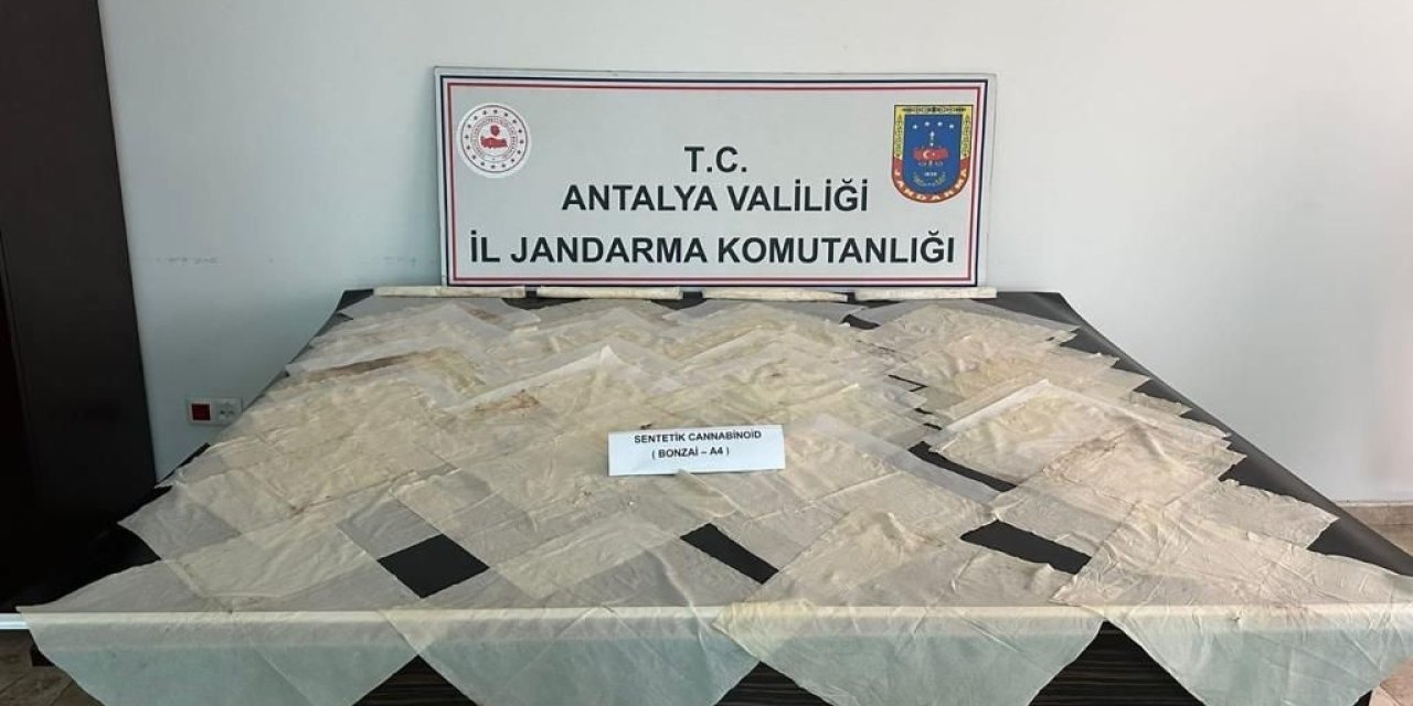 Piyasa Değeri 2 Milyon Tl Olan Bonzai Ele Geçirildi