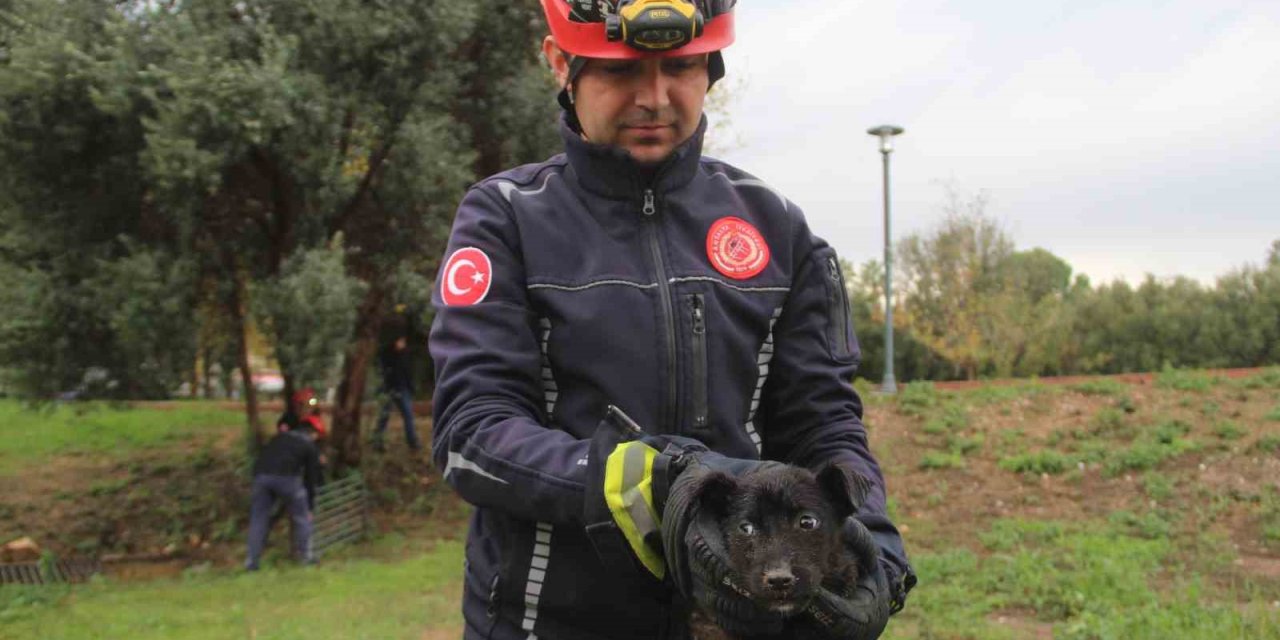 İtfaiye Erinden Su Borusundaki Köpeğe Kahramanca Kurtarış