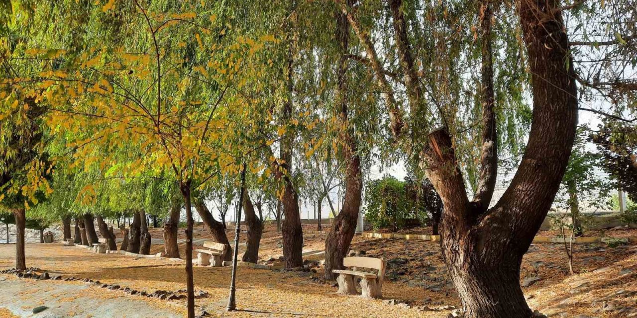 ‘bor’da Sonbahar’ Temalı Fotoğraf  Yarışması Sonuçlandı