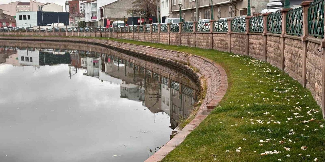 Görenlere ‘pes’ Dedirten Sorumsuzluk