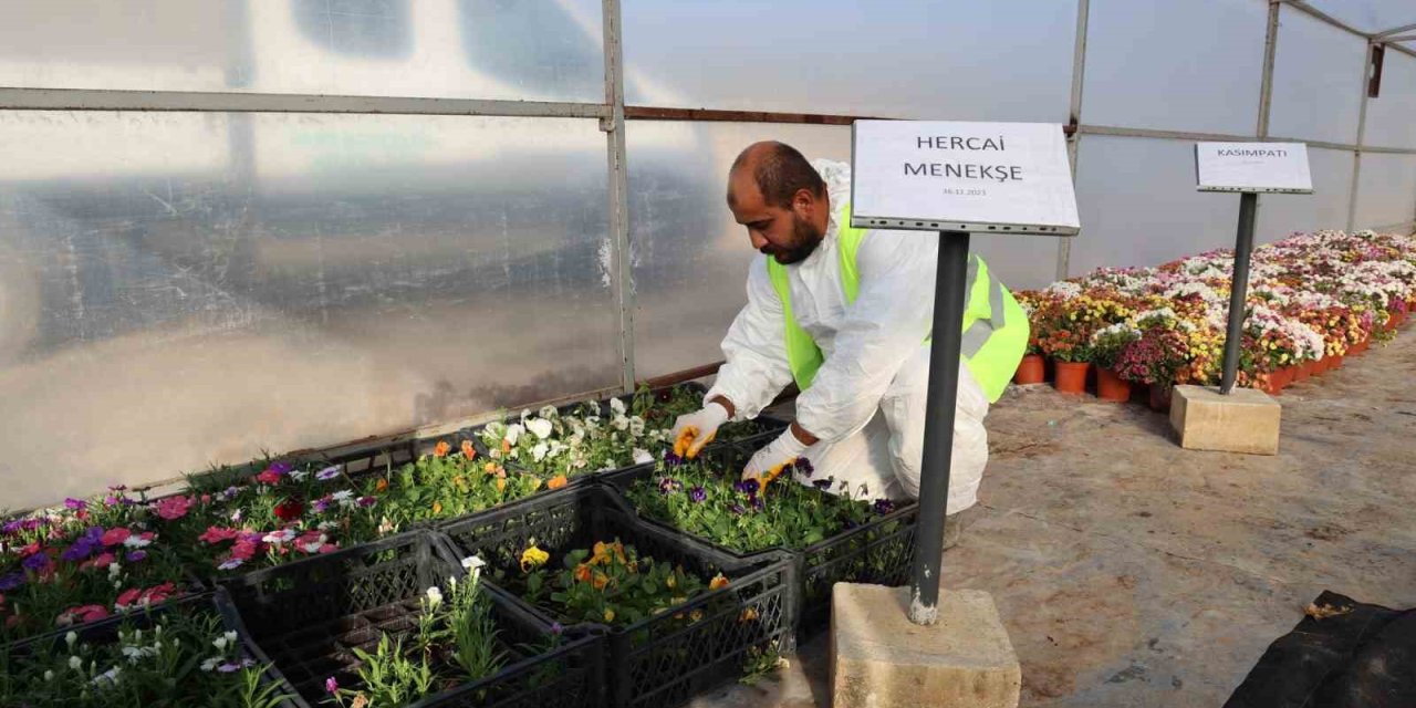 Toroslar Belediyesinden, Cumhuriyetin 100. Yılına Özel 100 Bin Bitki Üretimi