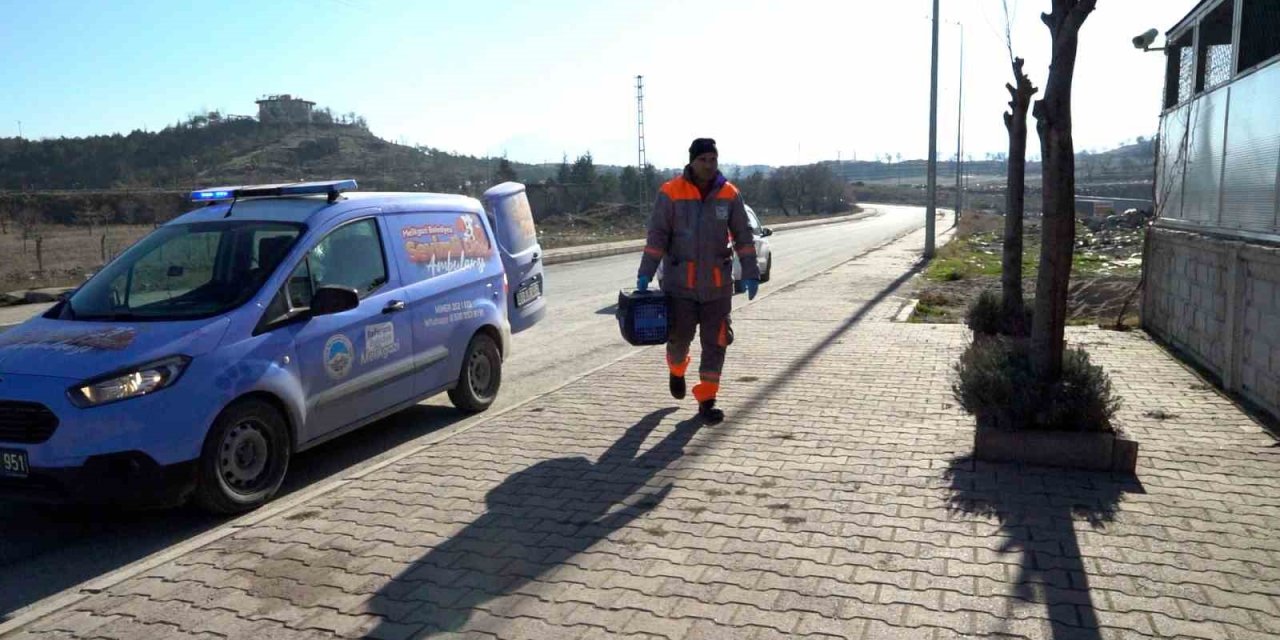 Melikgazi’de Sahipsiz Ve Yaralı Hayvanlar ‘sevimli Dost Ambulansı’na Emanet