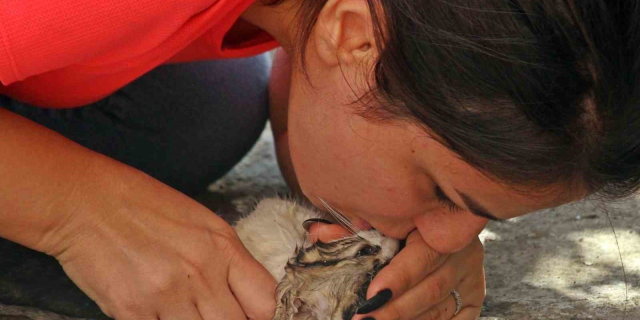 Agc’den İha’ya 2 Ödül