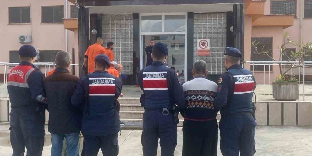 Alanya’da 15 Kasa Avokado Çalan 2 Hırsız Yakalandı