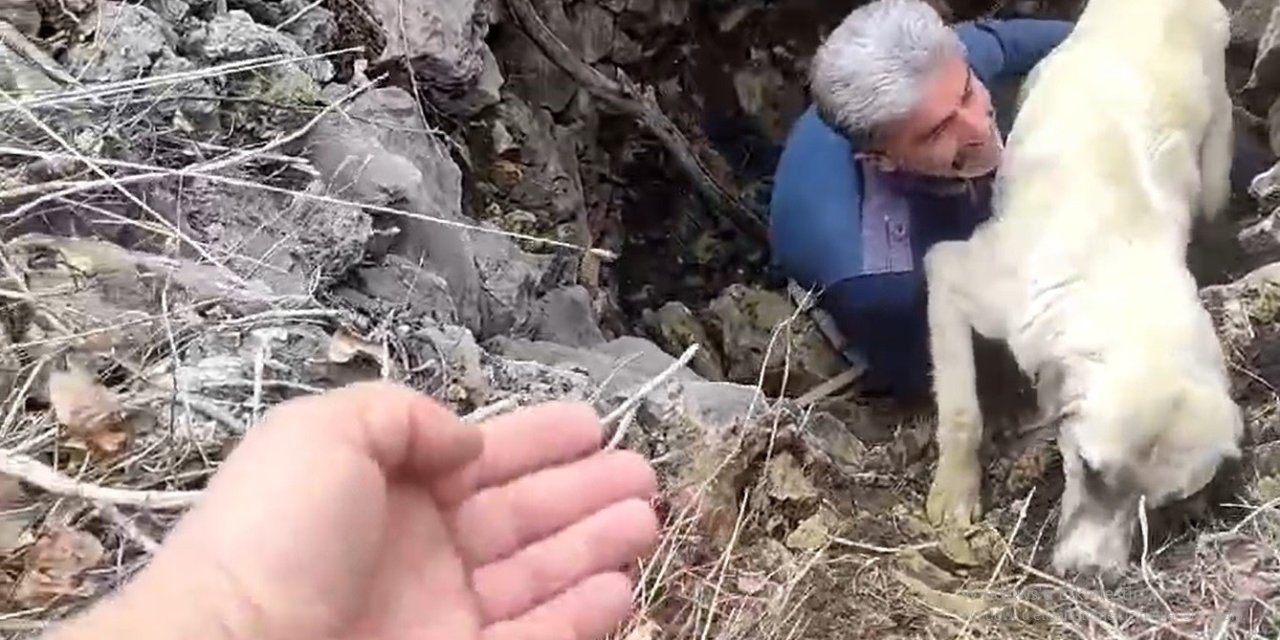 Kuyuya Düşen Köpeğe Vatandaştan Yardım Eli