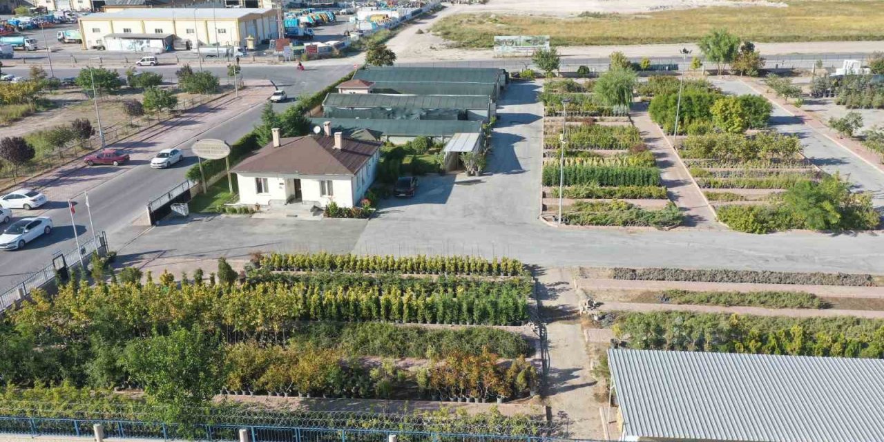 Başkan Çolakbayrakdar: “kişi Başına Düşen 18 Metrekare Yeşil Alan İle Rekoru Yenileyeceğiz”