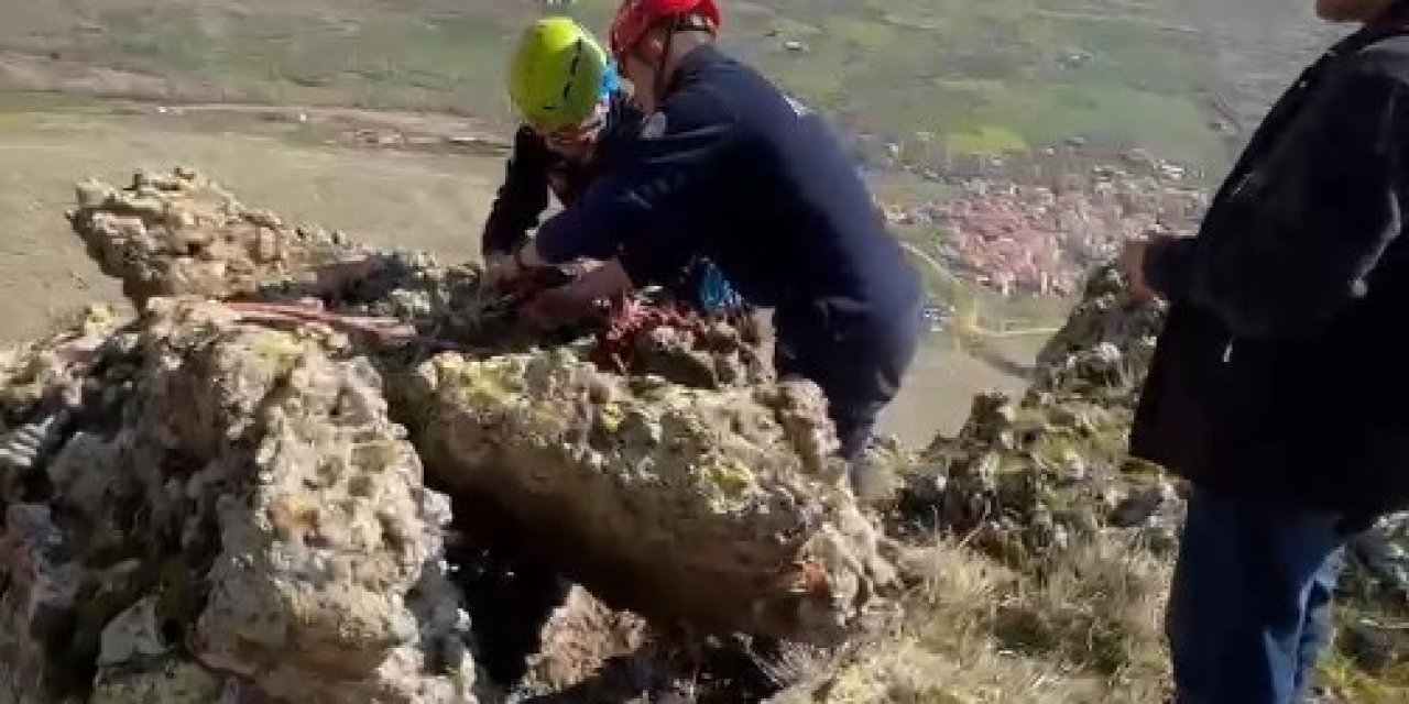 İtfaiyeden Nefes Kesen Hayvan Kurtarma Operasyonu