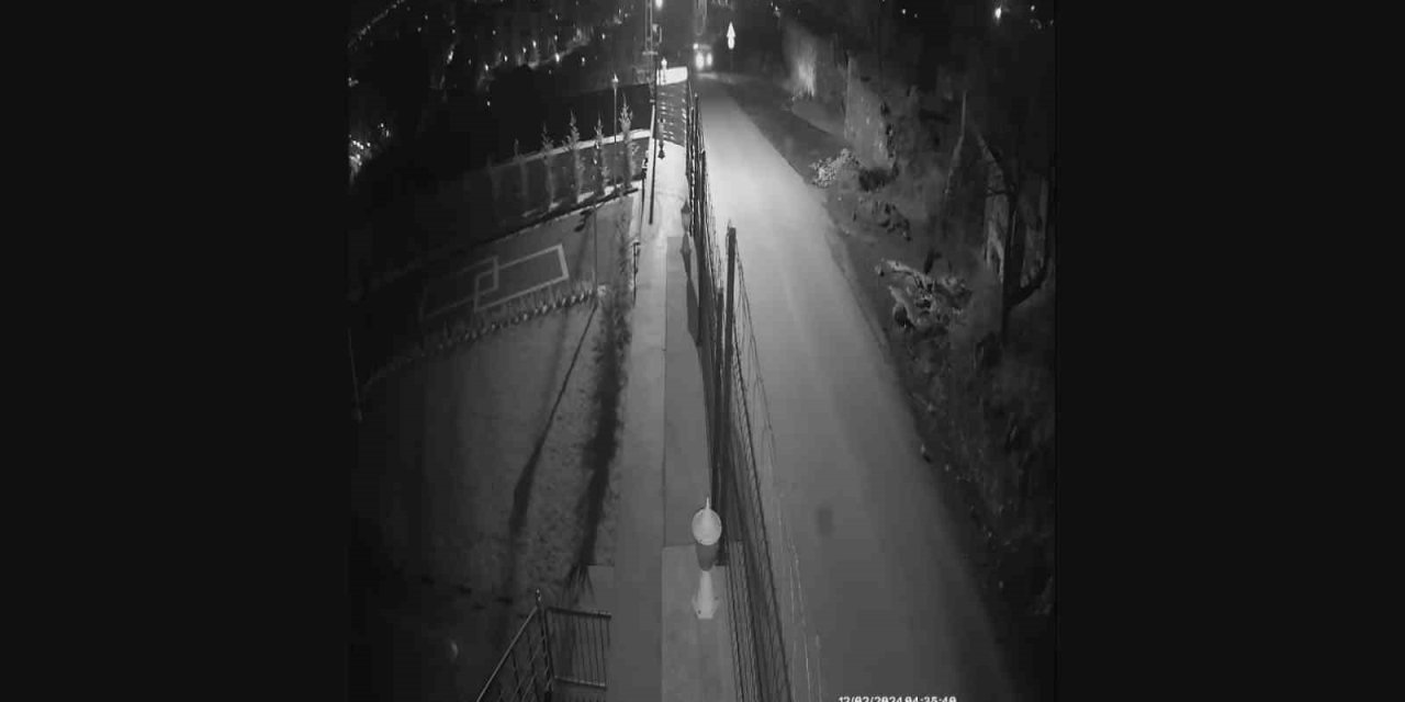 ’bağ Evi Fareleri’ Polisin 10 Günlük Çalışması İle Yakalandı