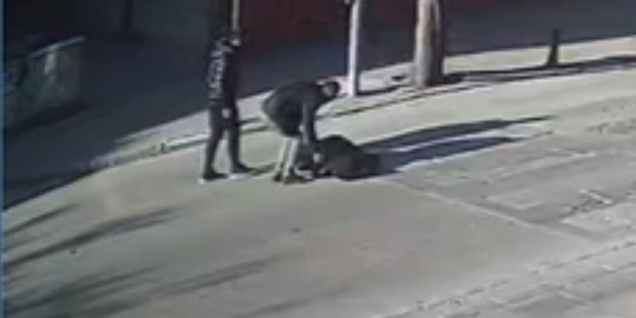 Yola Fırlayan Yayaya Otomobil Çarptı, O Anlar Kameraya Yansıdı