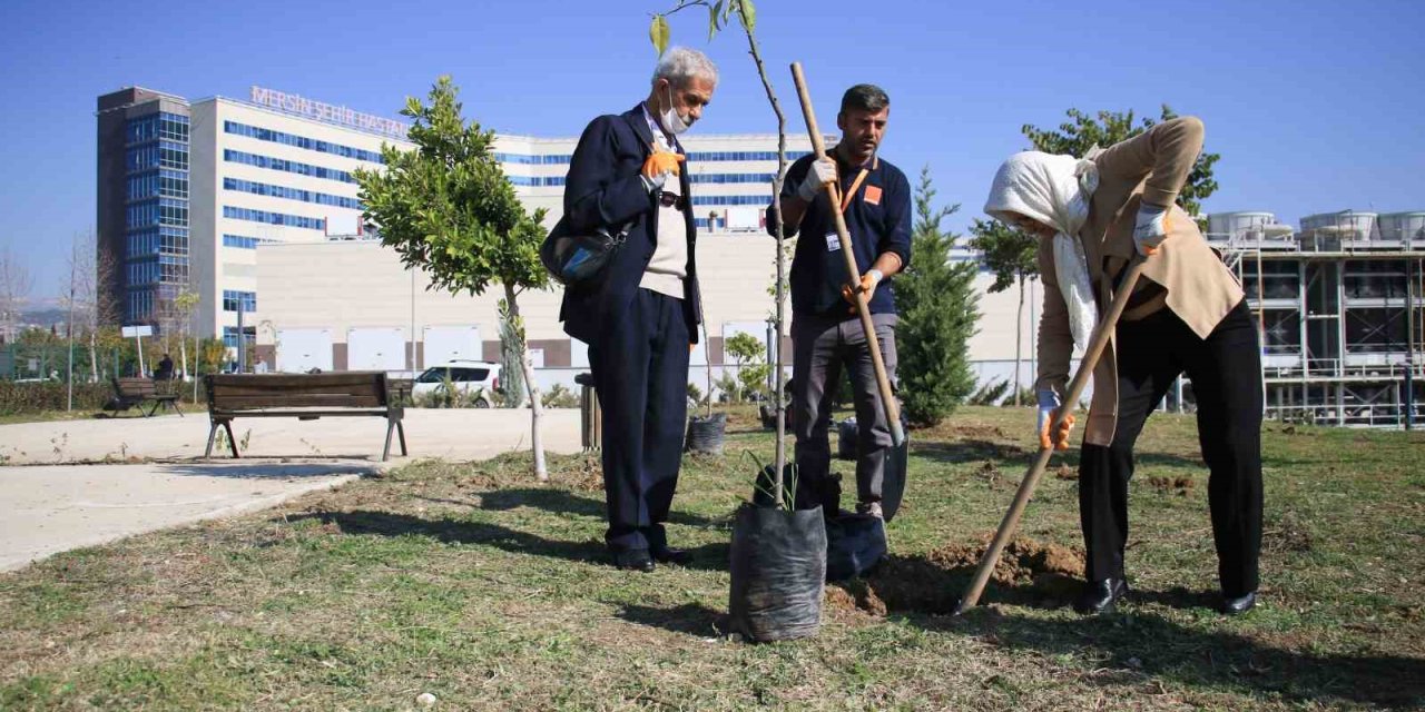 Yaşlılar Tedavi Gördükleri Hastanenin Bahçesine Fidan Dikti