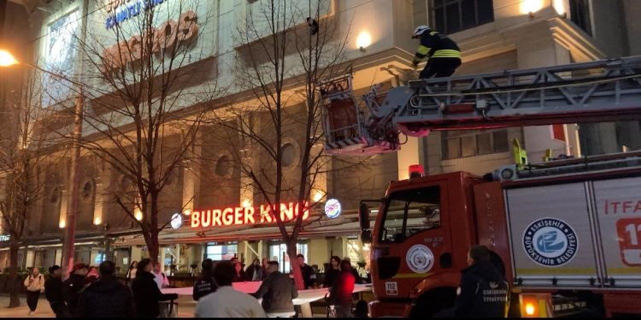 Ağaçta Mahsur Kalan Kediyi İtfaiye Kurtardı