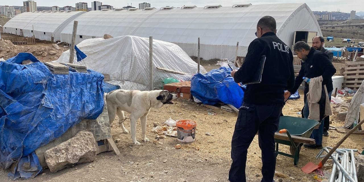 Köpeğin Isırdığı Çocuk Ağır Yaralandı