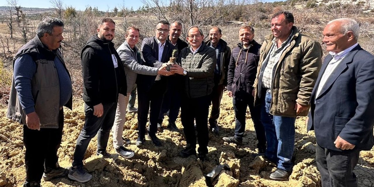 Mersin’de Biberiye Fidanları Toprakla Buluşturuldu