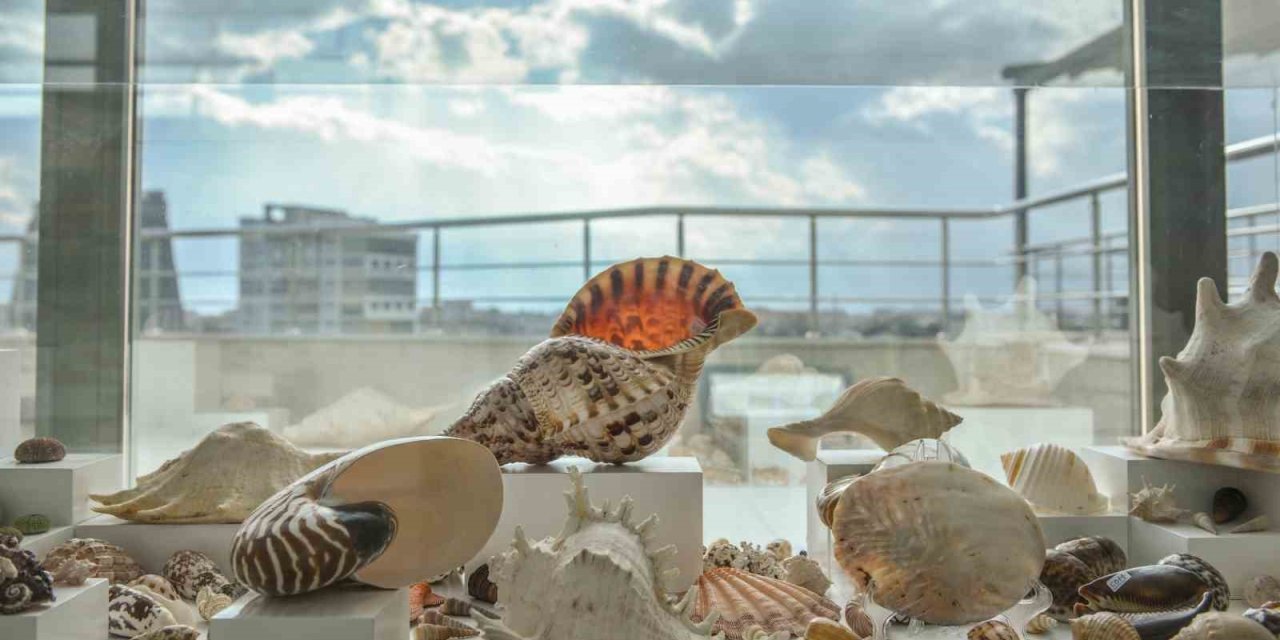 Türkiye’de Bir İlk Olan ‘müze Belediye’ Açılıyor