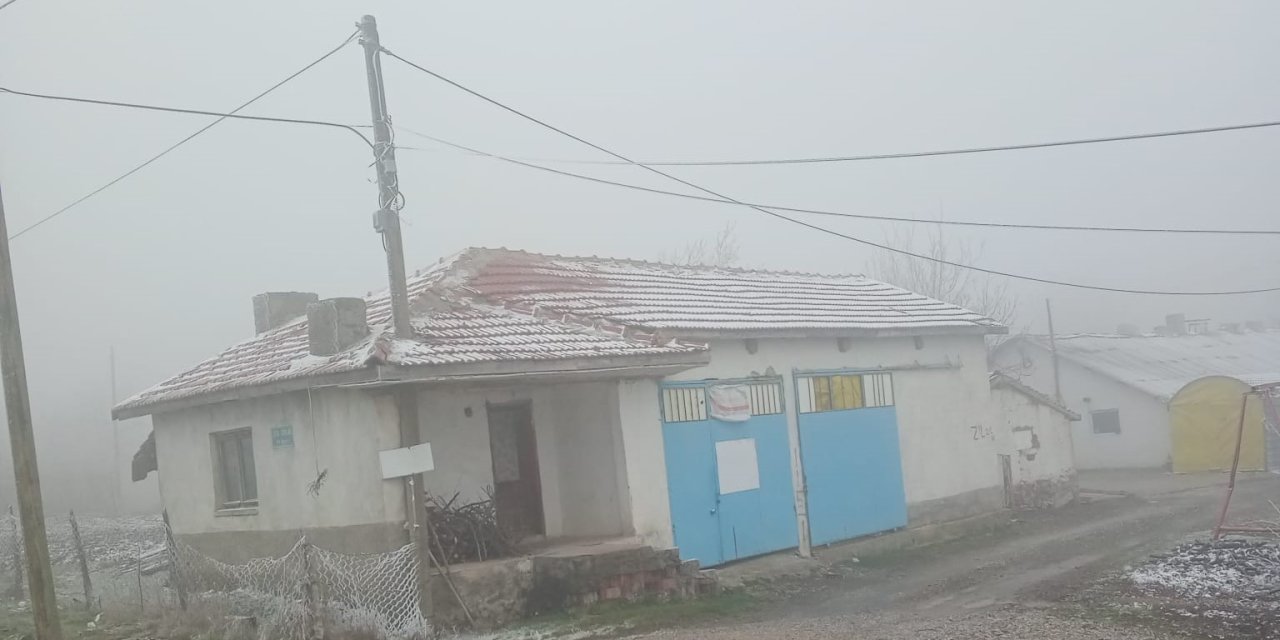 Eskişehir’de Sis Ve Don Olayı Etkili Oldu