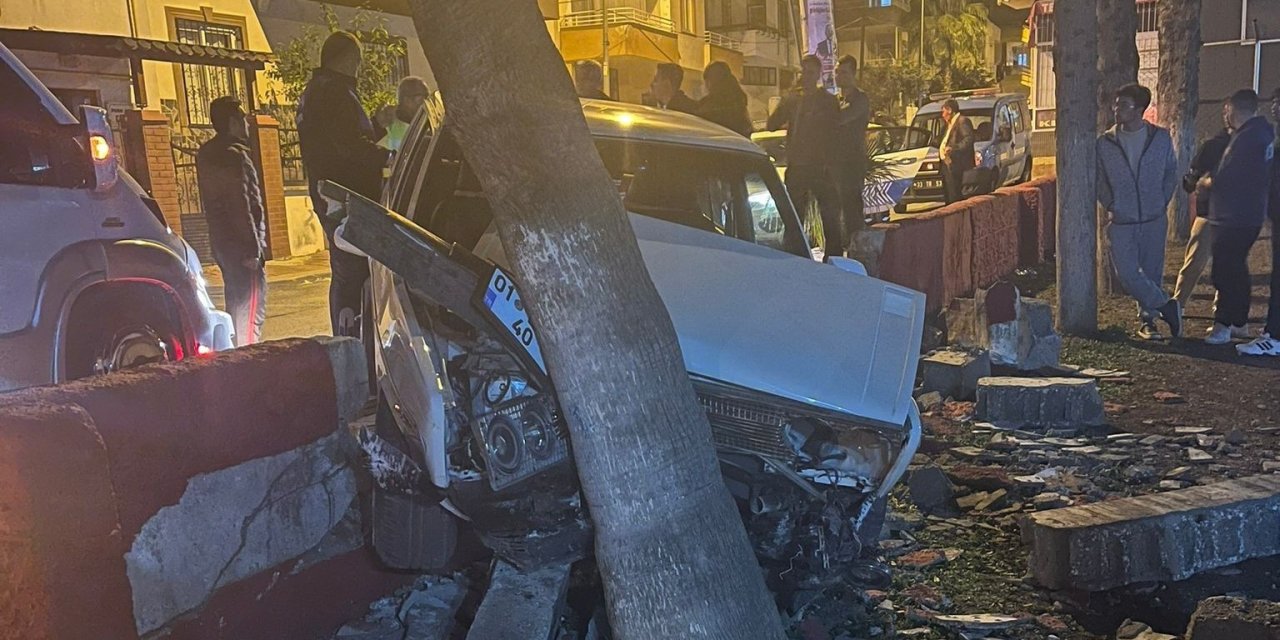 Otomobil Parka Girdi, Ağaçlara Çarparak Durabildi