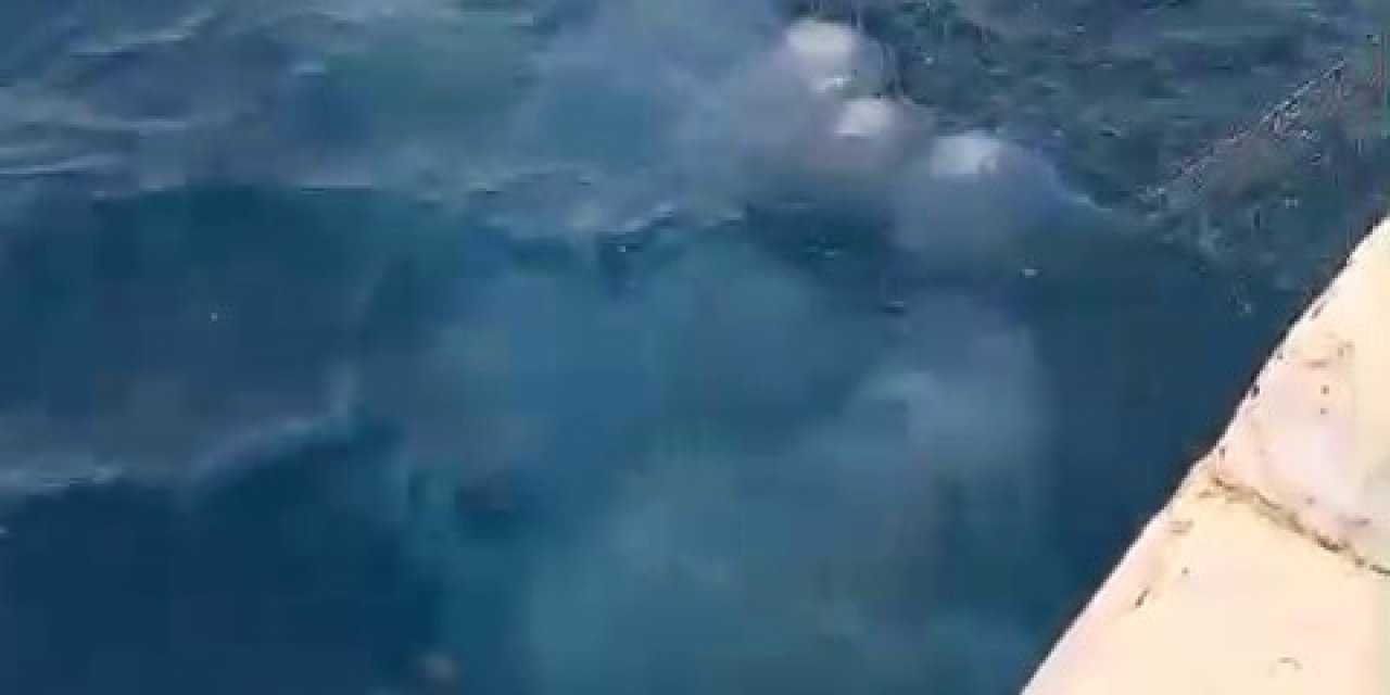 Antalya’da Balıkçı Ağları Denizanasıyla Doldu