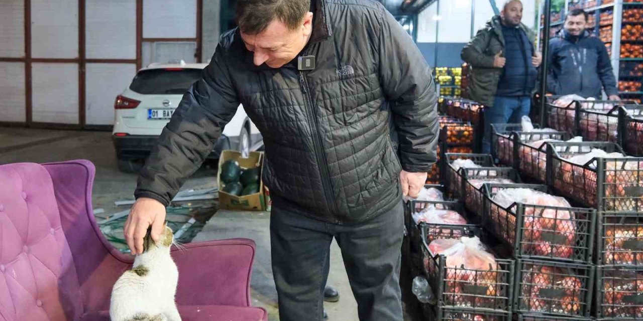 Özkan Alp: “odunpazarı’nda Hayvanlarımız Sahipsiz Kalmayacak”