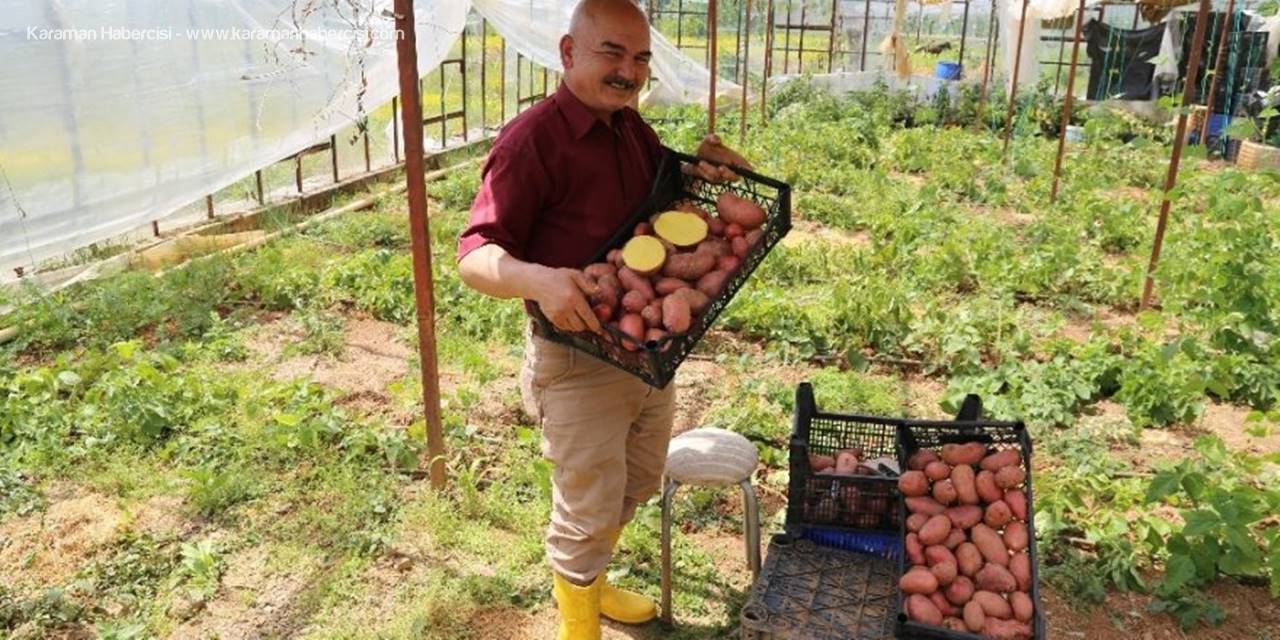 Şeker Hastası Olan Annesi İçin Ekti, İlgiyi Üzerine Çekti