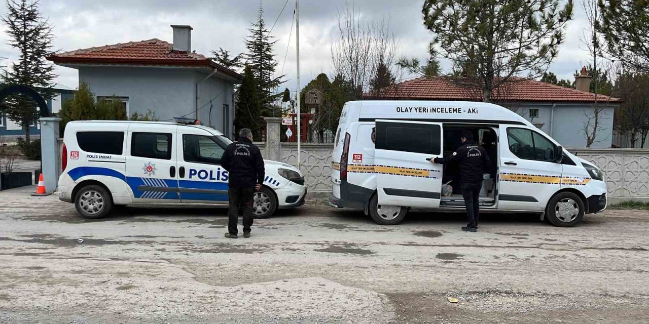 Niğde’de Dövüştürüldüğü İçin Koruma Altına Alınan Köpekler Çalındı