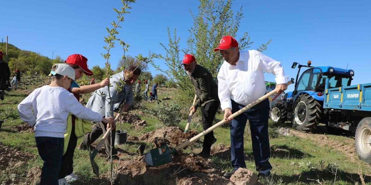 Talas’a 5 Yılda 500 Bin Ağaç