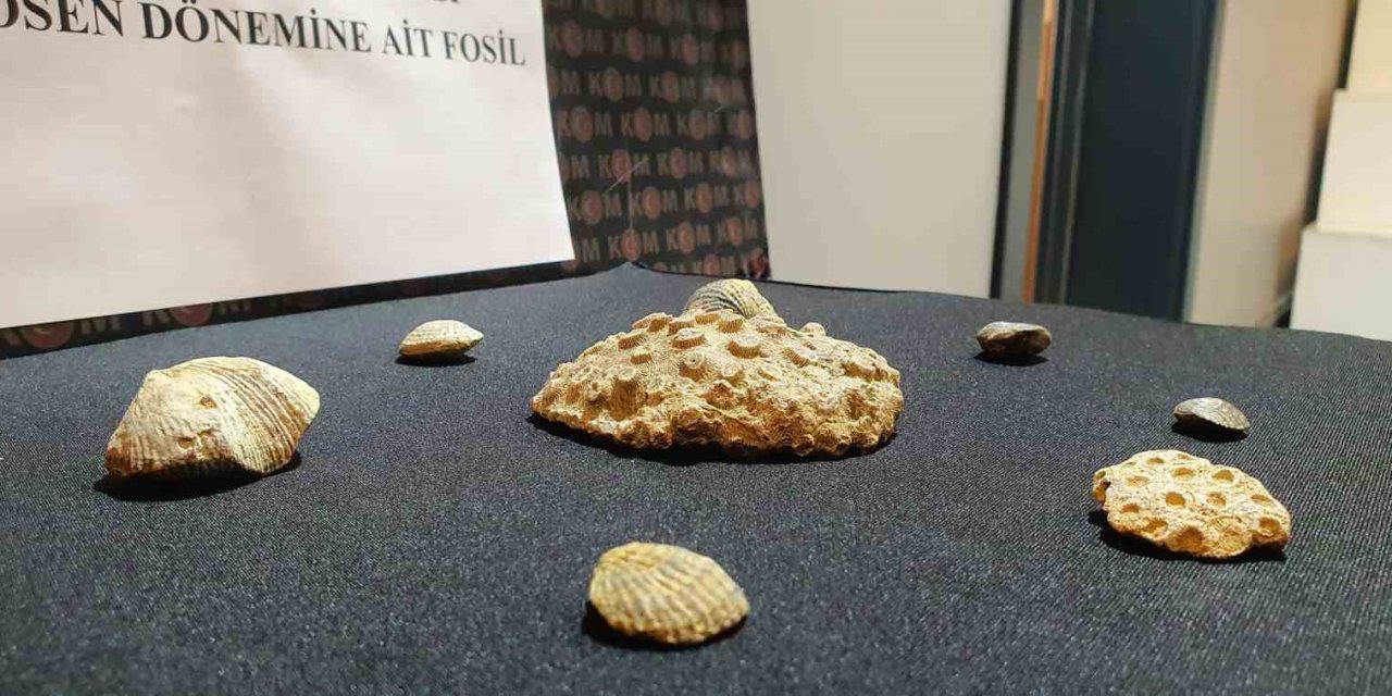 Kayseri’de Polis 10 Milyon Yıllık Fosil Ele Geçirdi