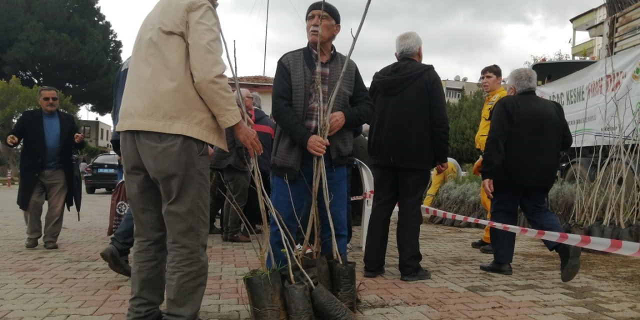 Mersin’de 6 Bin Fidan Ücretsiz Dağıtıldı