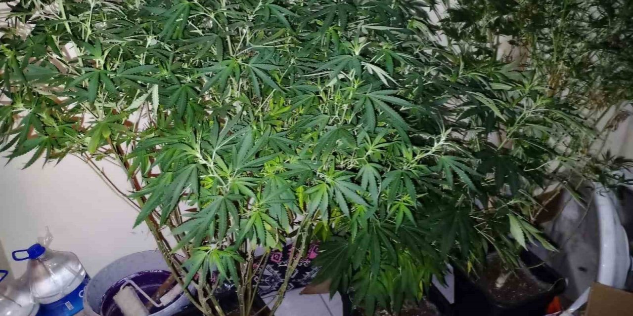 Uyuşturucu Madde İmal Ve Ticareti Suçundan 14 Şüpheli Yakalandı